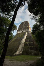 Tikal gewinnt den Preis für die steilsten Steinhaufen.