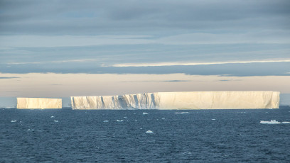Sie schiffen sich elegant zwischen den riesigen Tabloid-Eisbergen durch.
