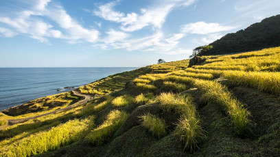 An diesem Küstenabschnitt werden seit Jahrhunderten über 1000 kleinste Reisfelder traditionell bewirtschaftet.