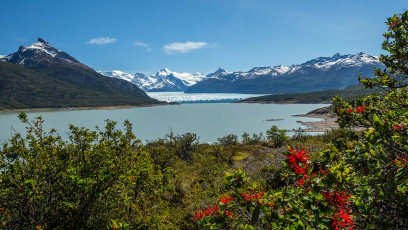 Der Perito Moreno Gletscher ist einer der wenigen, der nicht schrumpft.