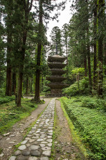 Der gesamte Weg ist gesämt von riesigen, jahrhunderte-alten japanischen Zedern.