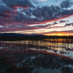 Farbenprächtiger Sonnenuntergang am Beaverdam Lake.