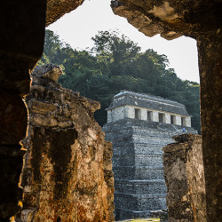 In Palenque können wir in die Ruinen rein gehen.
