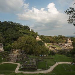 Blick über die Tempelanlage von Palenque.