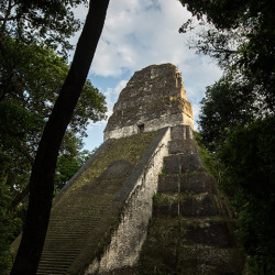 Tikal gewinnt den Preis für die steilsten Steinhaufen.