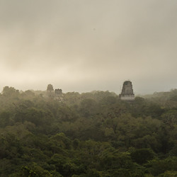 Den Sonnenaufgang in Tikal geniessen wir hoch oben auf der Snake-Pyramide.