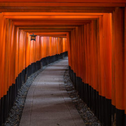 Im Süden von Kyoto befindet sich dieser spezielle Schrein. Der Weg auf den Berg ist mit tausenden Schrein-Toren gesäumt.